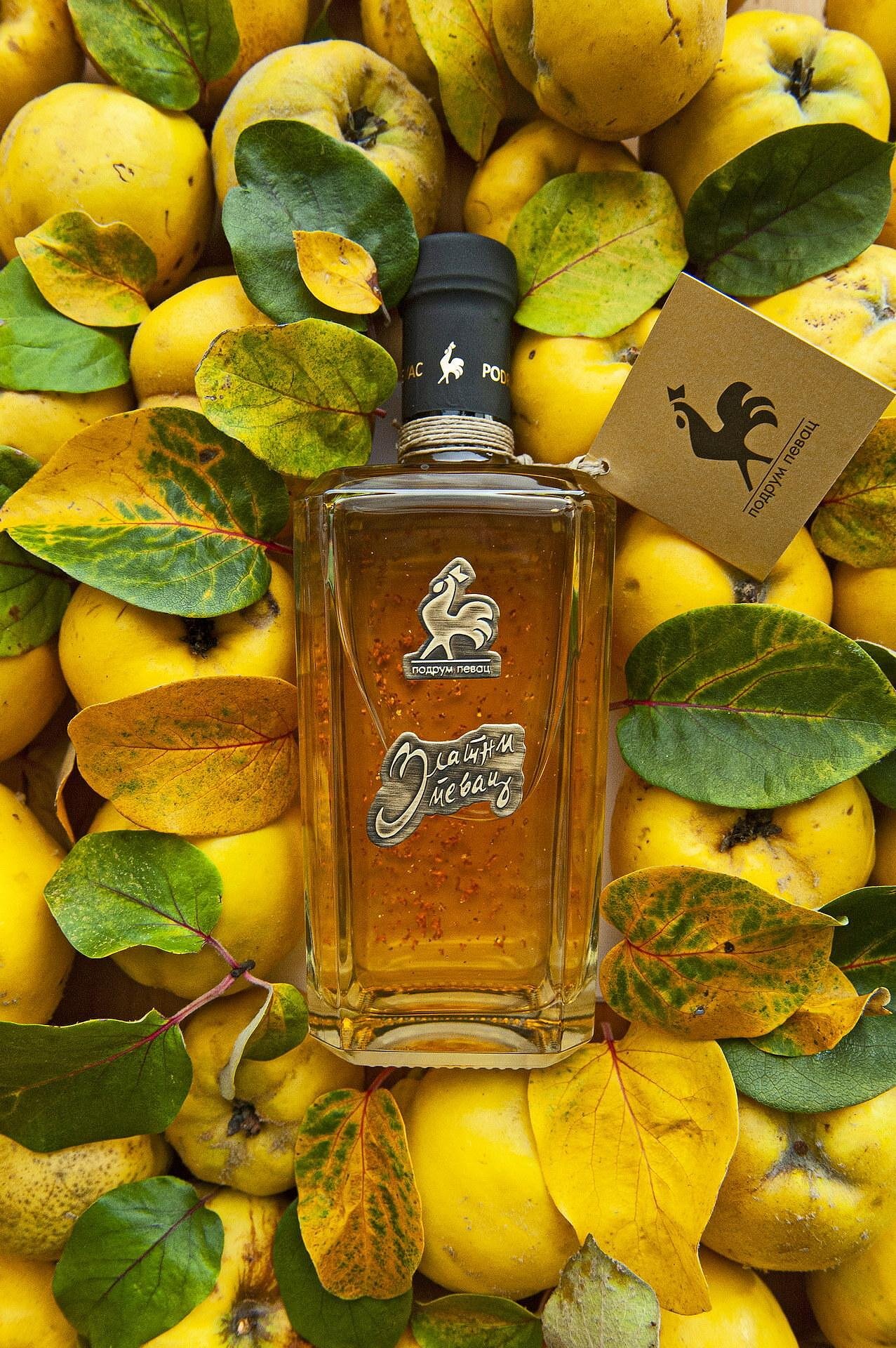 PEVAC ZLATNI PEVAC Dunja / ПЕВАЦ Златна Дюлева | DRINKME.BG